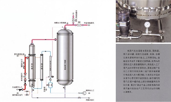 纯蒸汽发生器设备图片